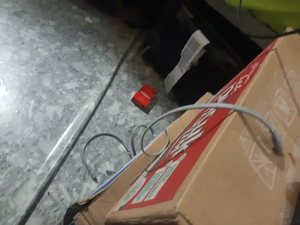 Landak mini gratis edisi pensiun cuma satu