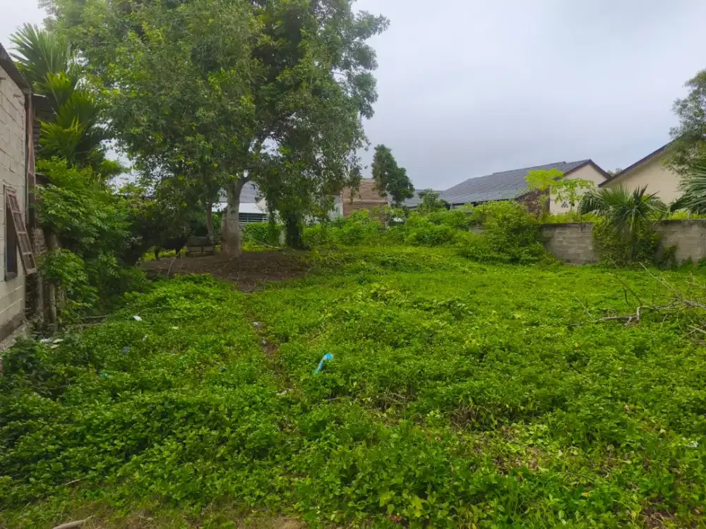 Dijual Tanah 450 Meter Di Desa Blang Krueng, Aceh Besar