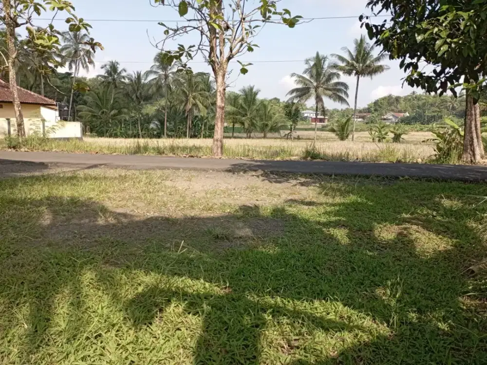 Tanah dijual mrebet purbalingga jawa tengah,Tanah murah kertanegara purbalingga