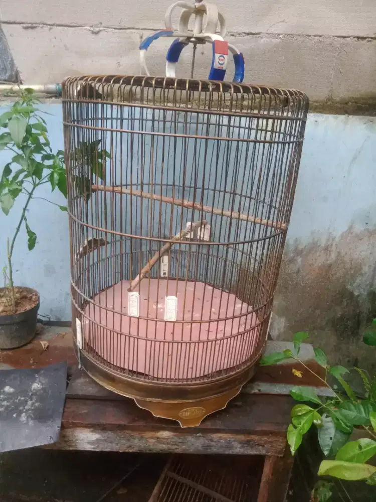 Jual kandang murai NO2 merk RAFI jaya