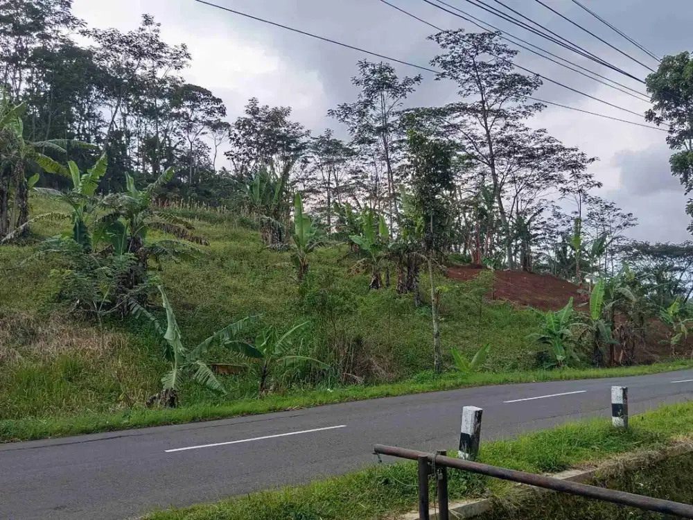 Dijual Tanah SHM Pekarangan