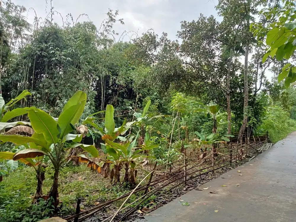 DIJUAL CEPAT DAN MURAH 2 BIDANG TANAH