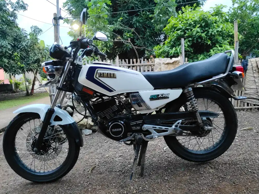 rx king 2001 asli albino bawaan lahir