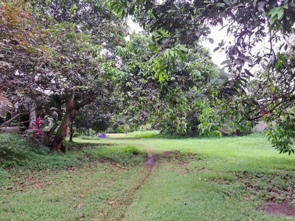 Tanah Luas 5000 m² di jalan utama Transyogi Cibubur
