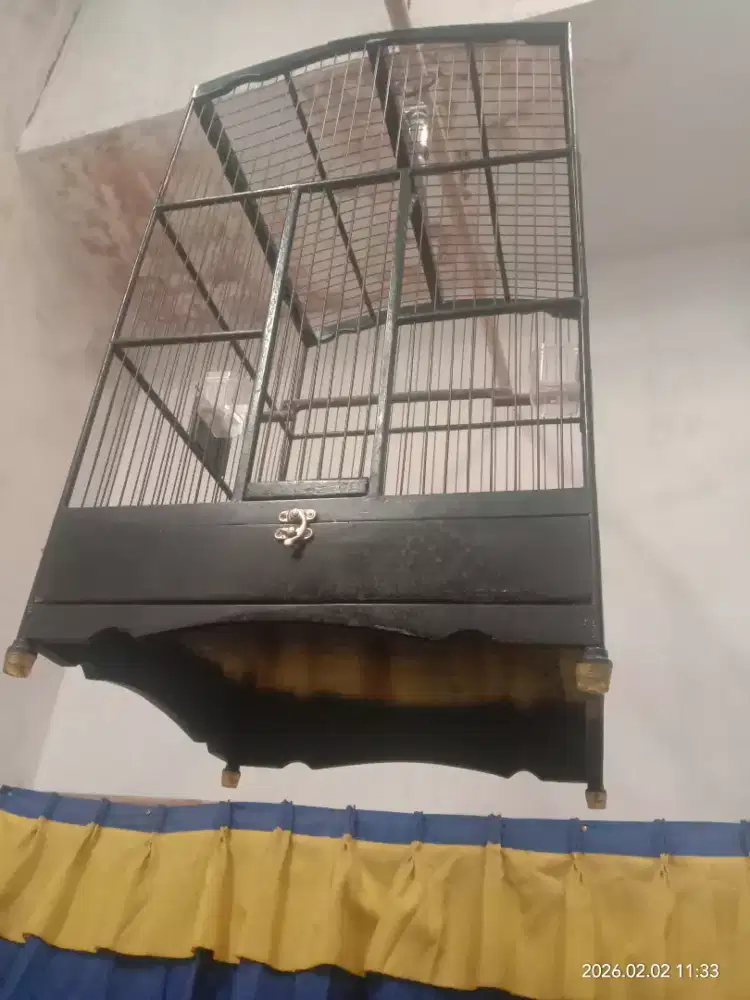 sangkar kk.sangkar lndah masih kinclong kk am kk loveberd