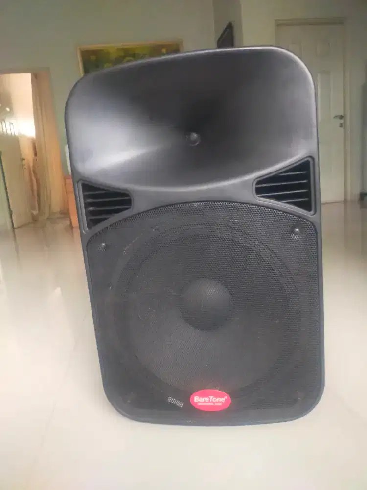 Speaker Baretone max 15mhwr