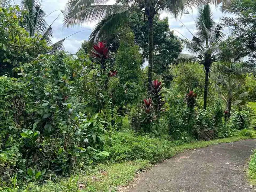 Dijual Tanah Kebun View Sawah Terasering Tabanan Bali