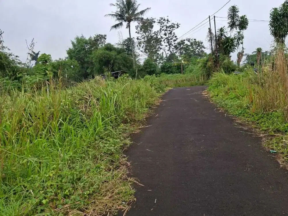 Dijual tanah darat di Desa Sukamaju, Kecamatan Mega Mendung,Bogor