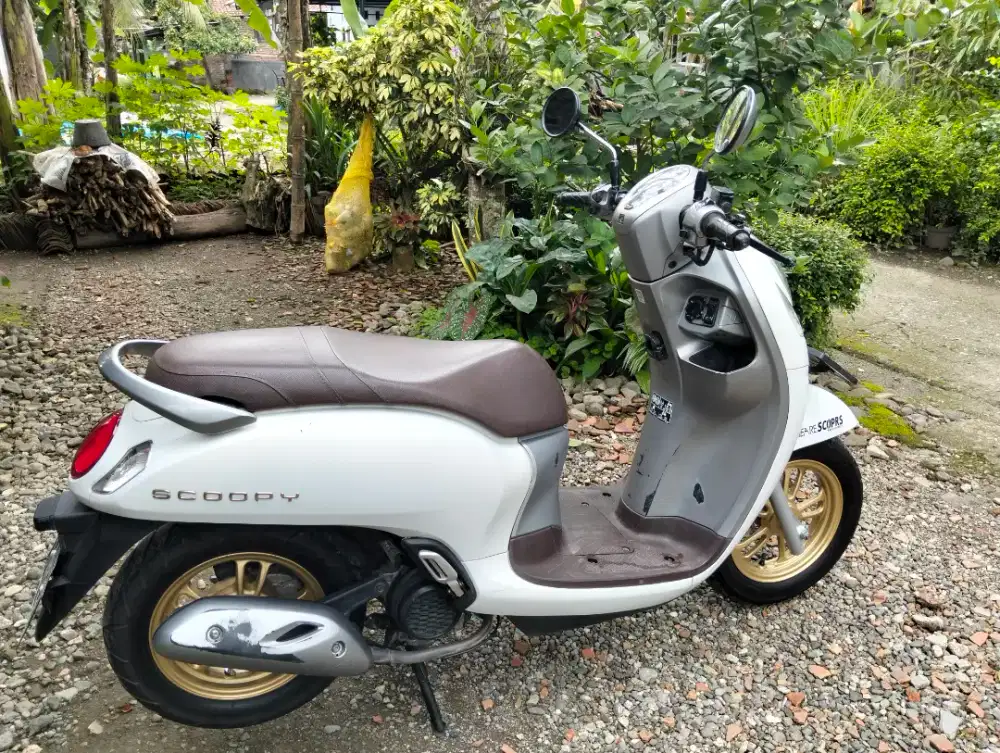 Scoopy keyles prestige 2021
