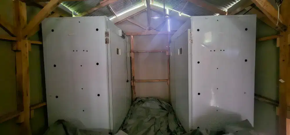 Jual mesin tetas telur otomasi telur ayam bebek burung