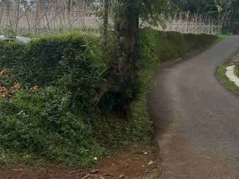 tanah sawah dan darat