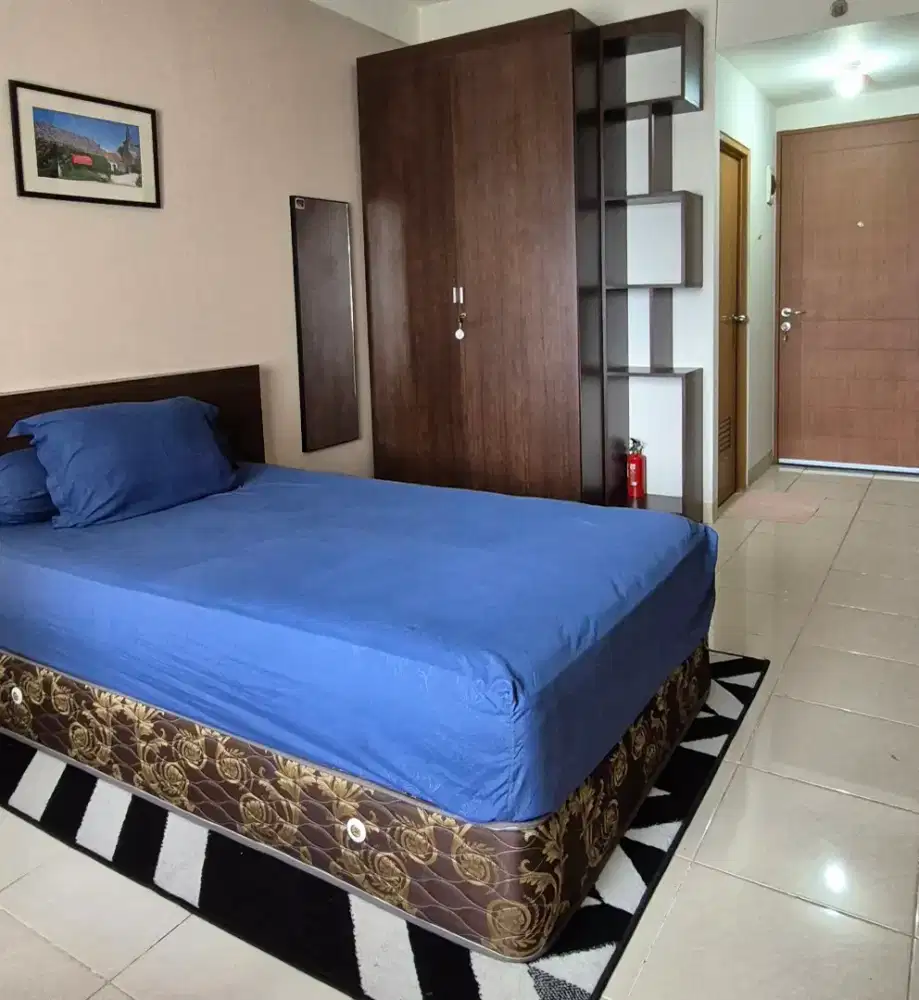 Pinewood Studio Executive