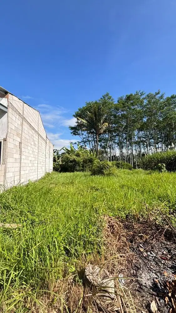 Jual Tanah Cepat Prospek