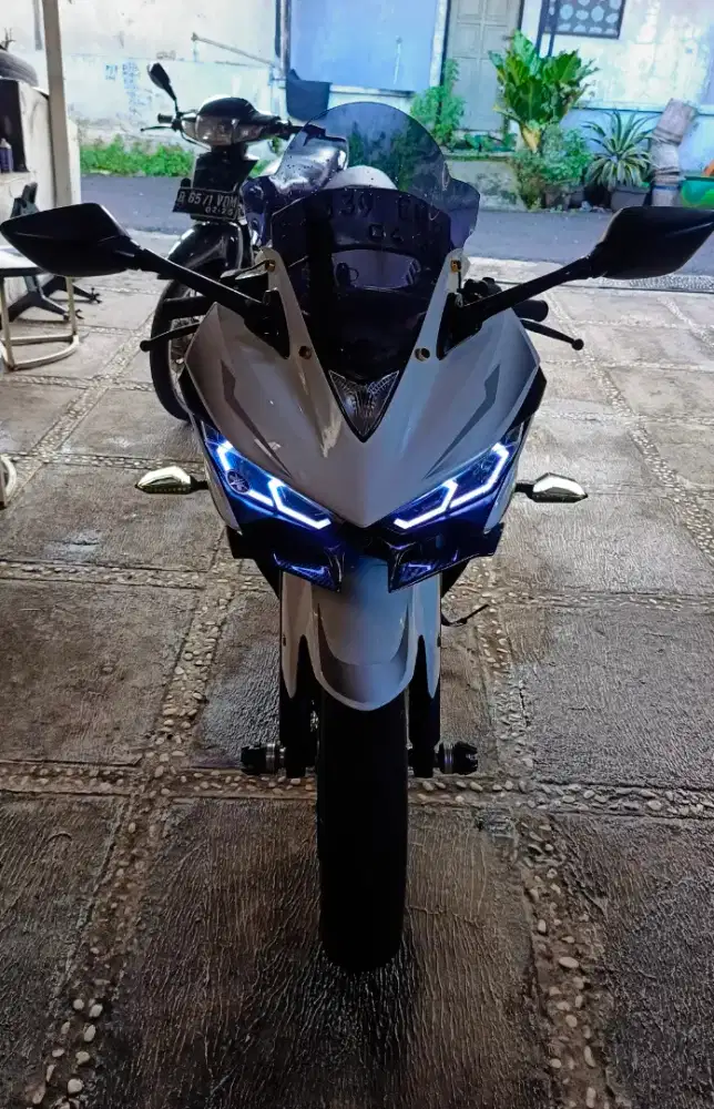 R25 putih albino ganteng