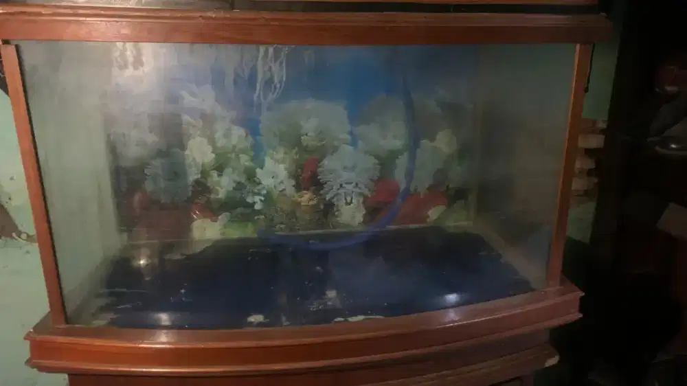 AQUARIUM BEKAS KACA CEMBUNG