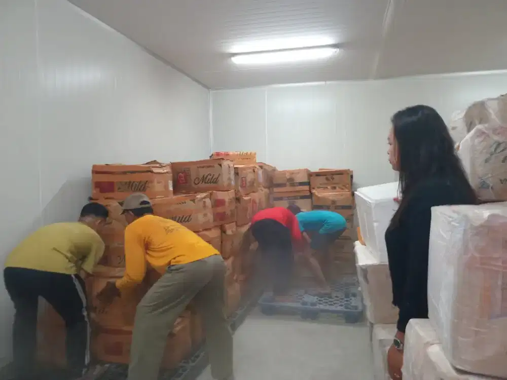 Daging Durian Kualitas Terbaik