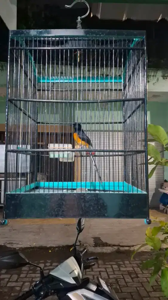 Murai Batu / MB Medan