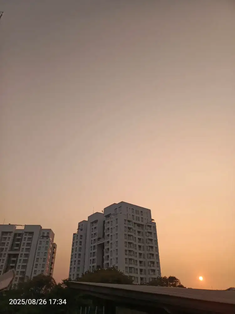 DI CARI WANITA YANG SIAP JADI LC