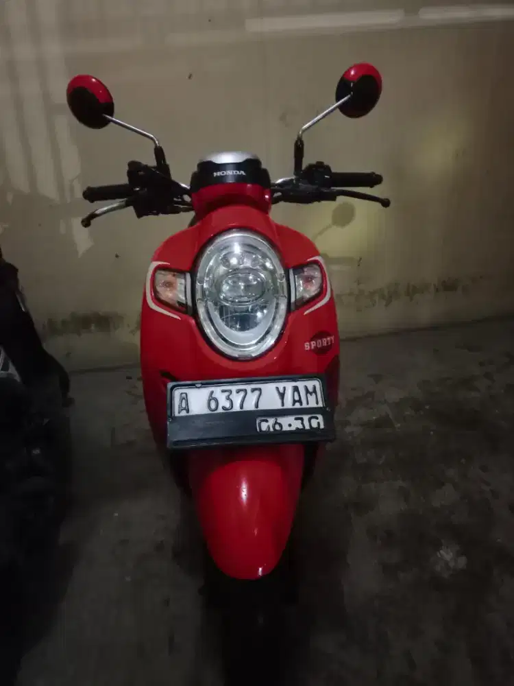 Scoopy donat 2017 pajak hidup kaleng panjang