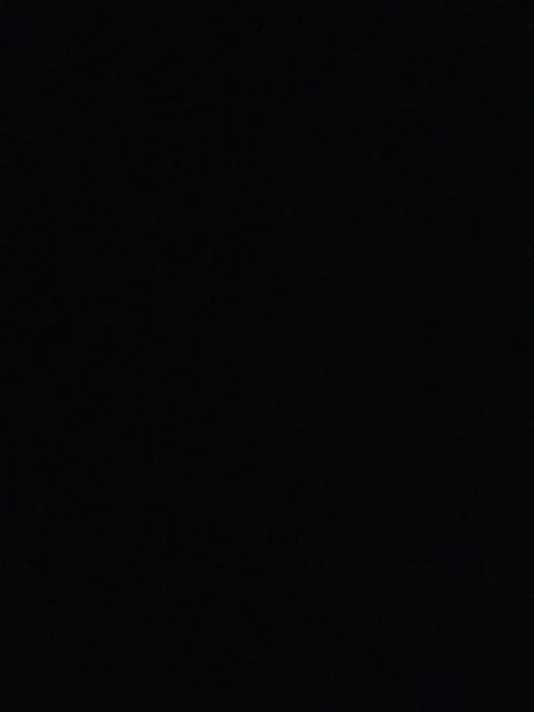 DICARI KENNEL GIRL BERPENGALAMAN