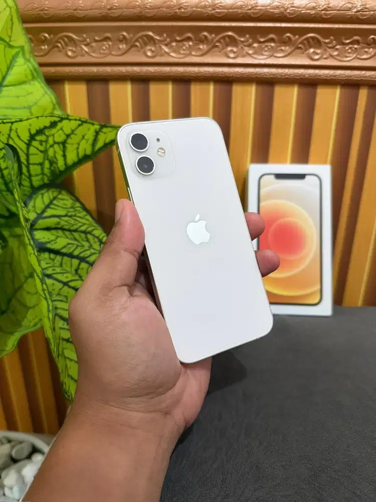 Iphone 12 128gb Ibox