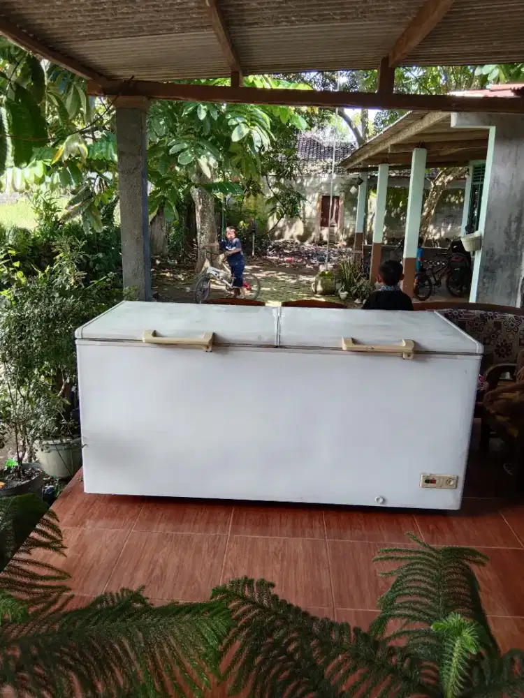 Freezer box Besar 2 pintu