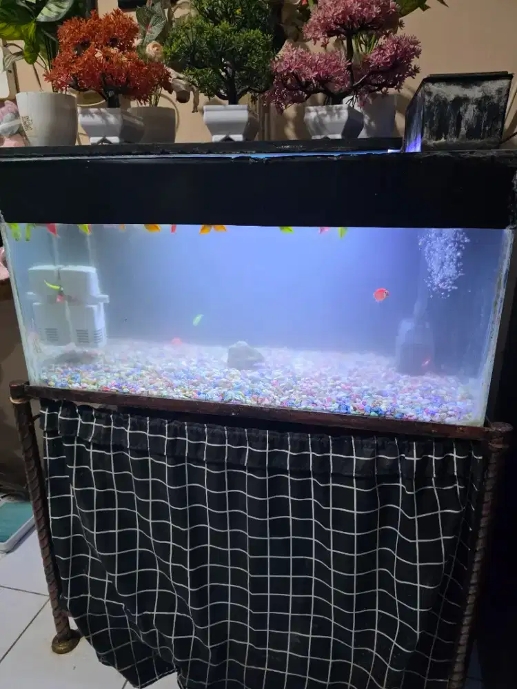 1 set aquarium + meja ulir