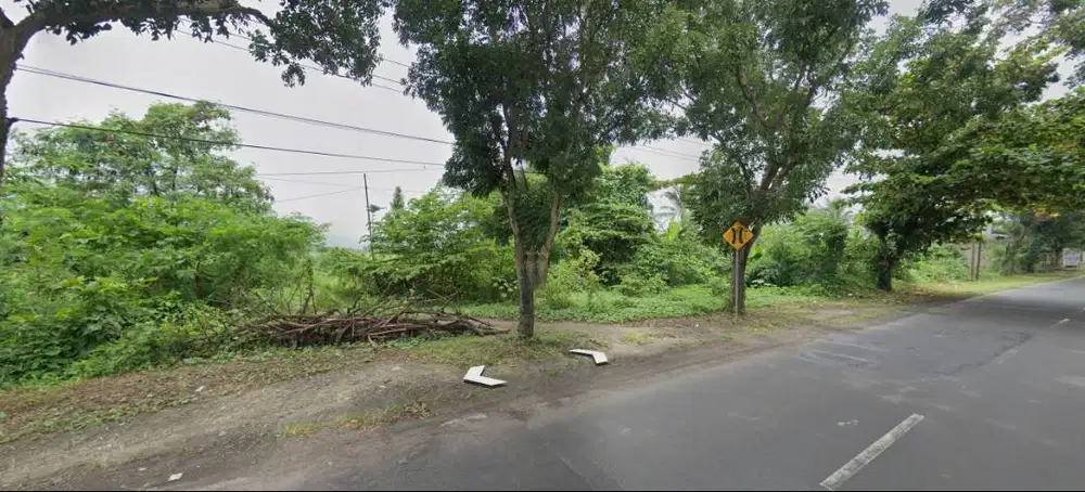 Jual Tanah Pinggir Jalan Provinsi Harga BU