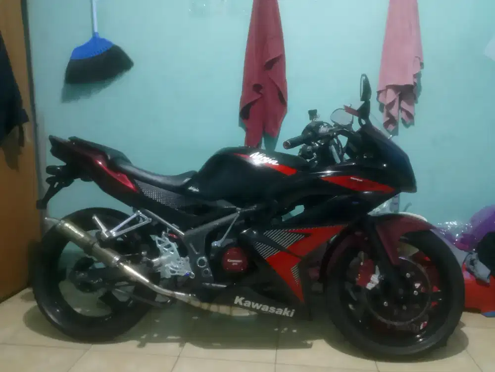 Kawasaki ninja rr new 2014