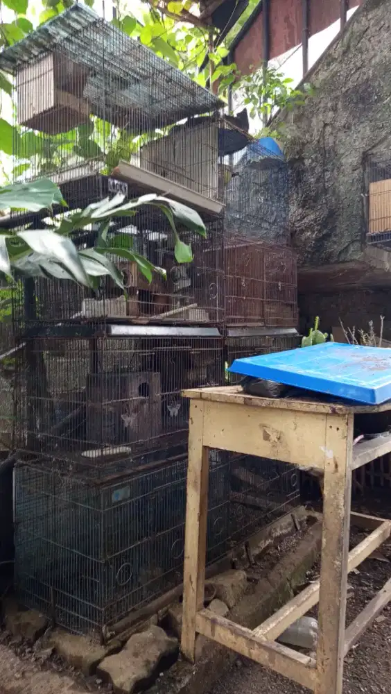 Kandang kotak lipet bekas