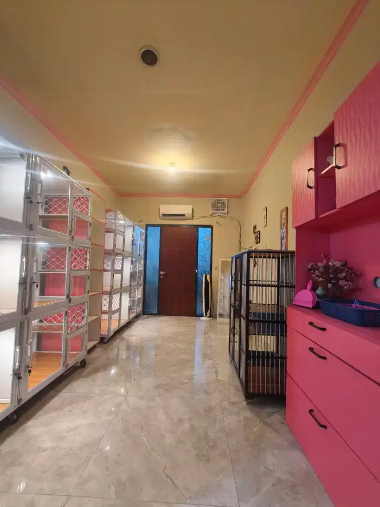 Pet Hotel / Penitipan Kucing / Penitipan Anabul