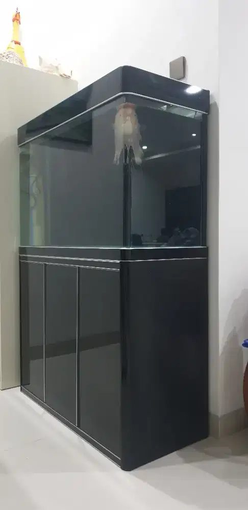 Aquarium Boyu Fishland