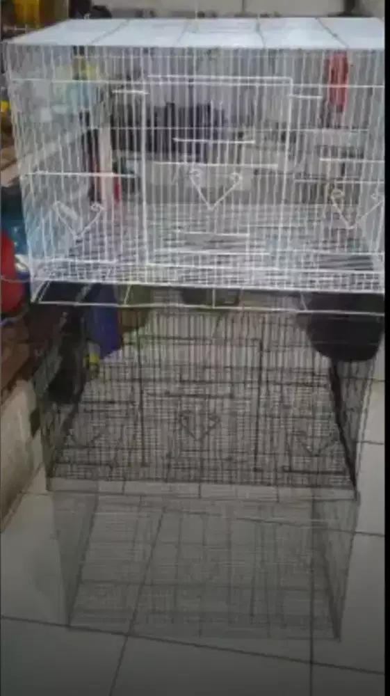 Kandang kucing / burung second