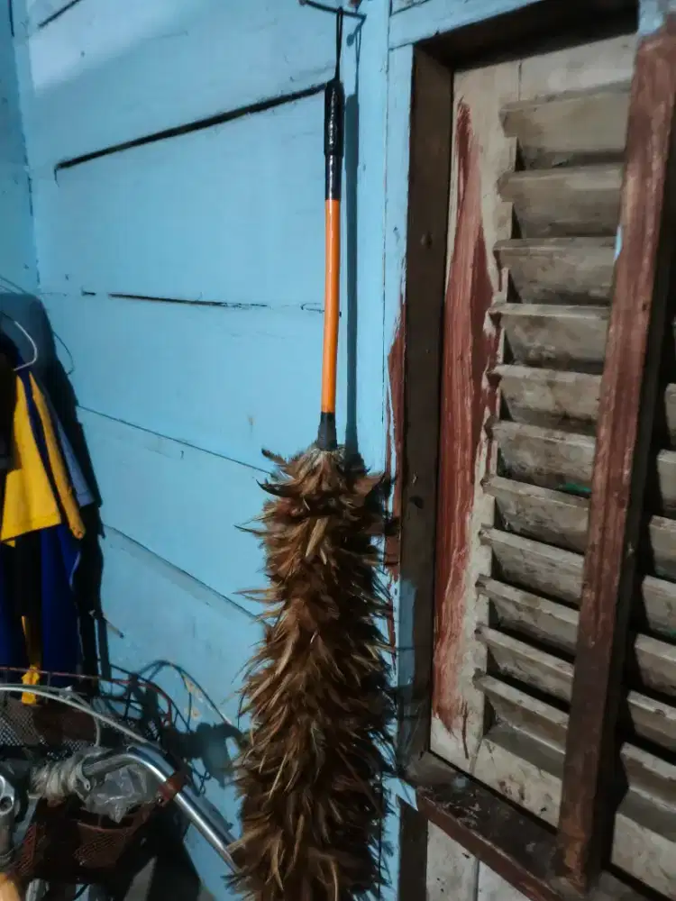 Kemoceng ( bulu ayam )