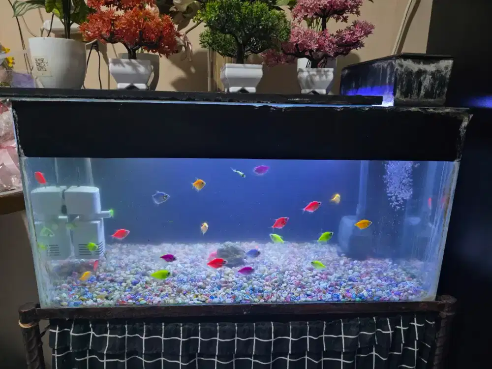 1 set aquarium + meja ulir