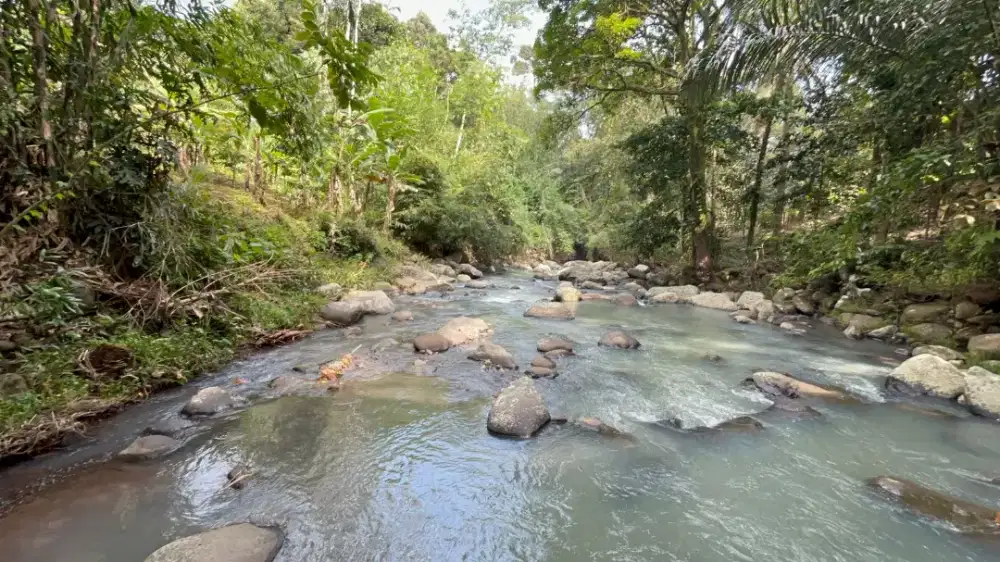 Dijual Tanah Zona Perumahan Los Sungai Cantik Taaban Bali