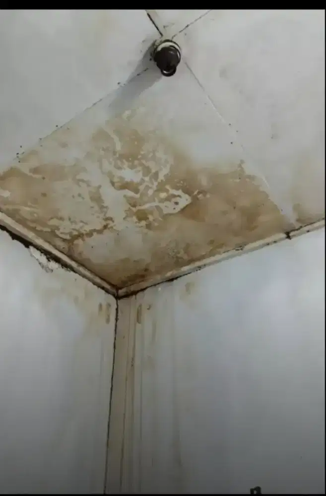 Perbaikan atap bocor ganti talang air masang keramik ngecat rumah dll