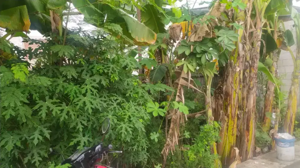 Tanah di Sememi Baru Dekat JLBB