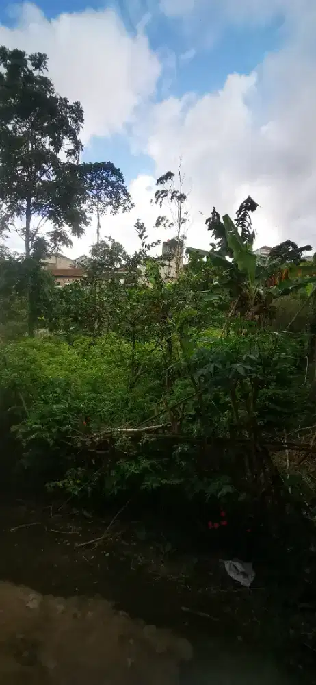 jual tanah kebun lokasi lembang bandung barat