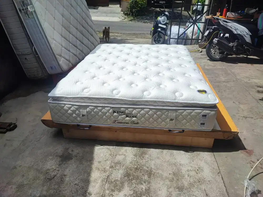 King koil luxuryous syuite