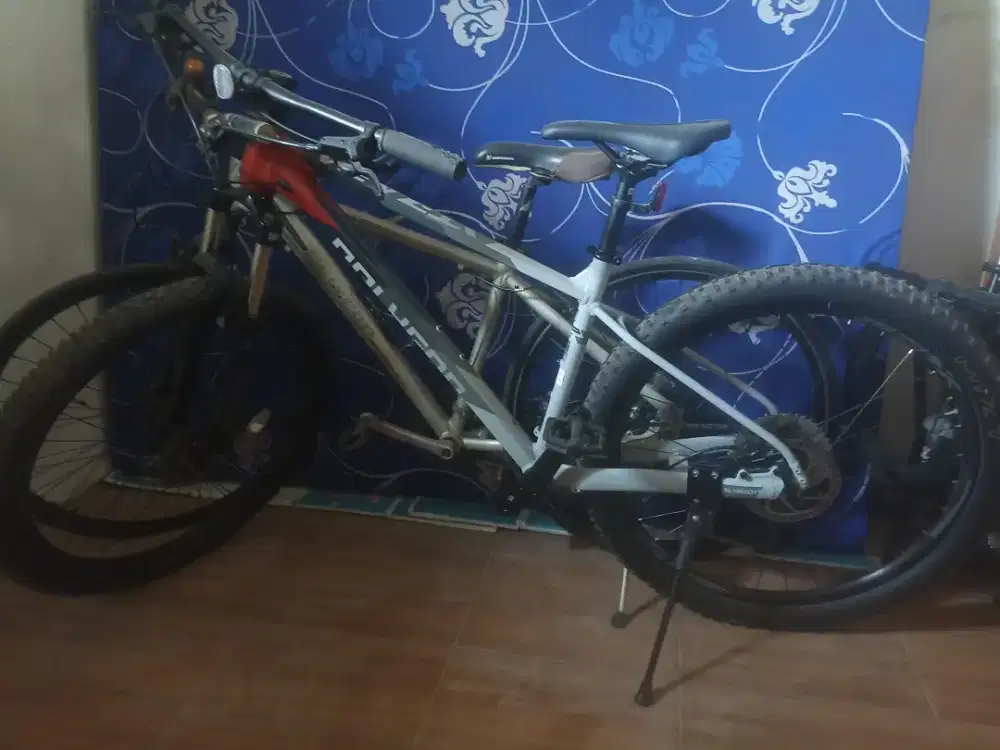 Sepeda Polygon Xtrada 5