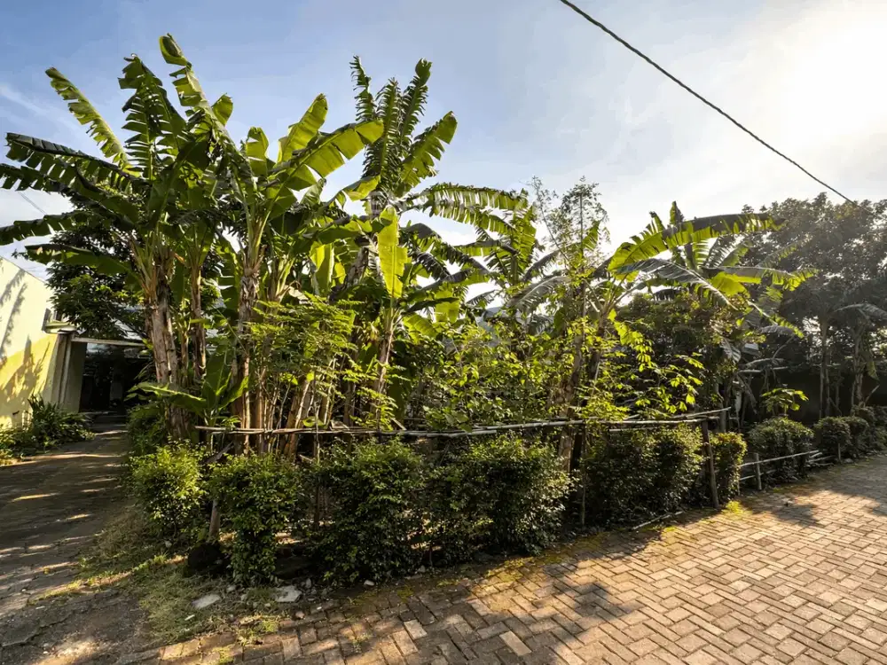 Dijual Tanah Luas SHM Pekarangan Dekat Plemburan