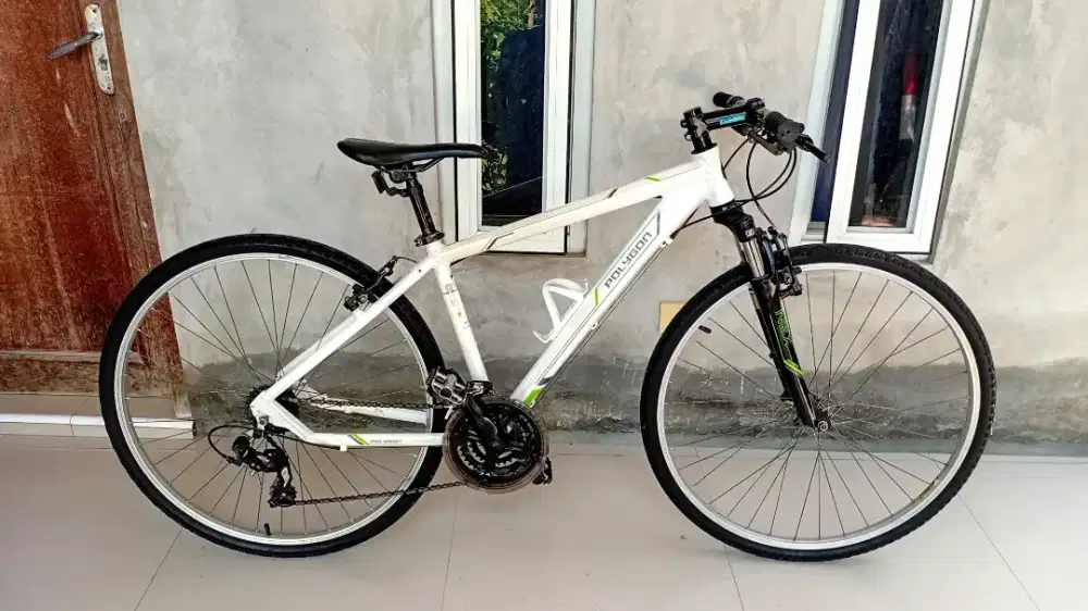 Polygon Heist 1.0 Alloy mulus