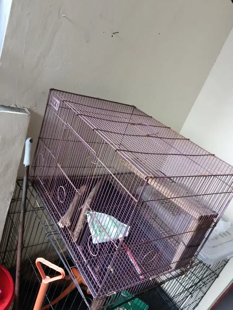 BU Kandang besi/ kandang kucing ukuran 60 x 40