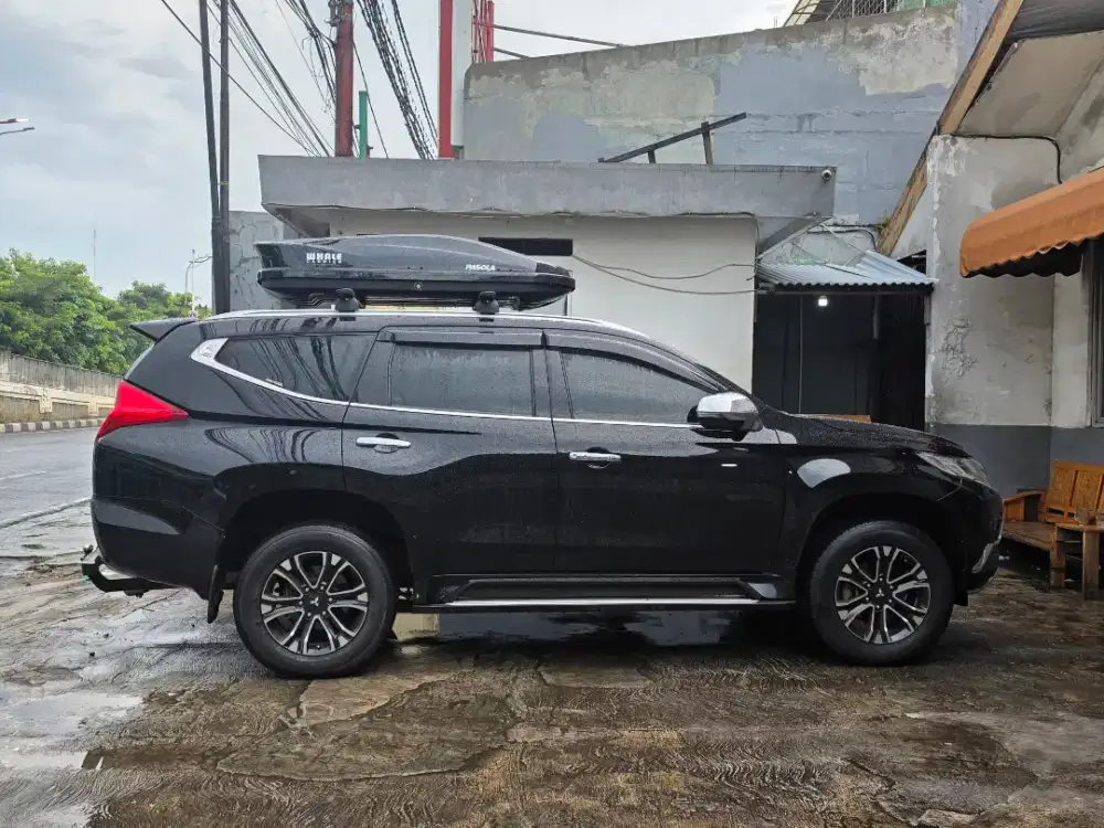 Roof box Whale Pasola