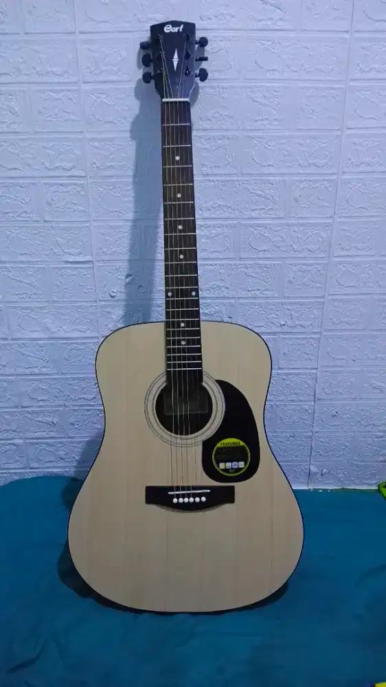 Gitar cort new tanbes