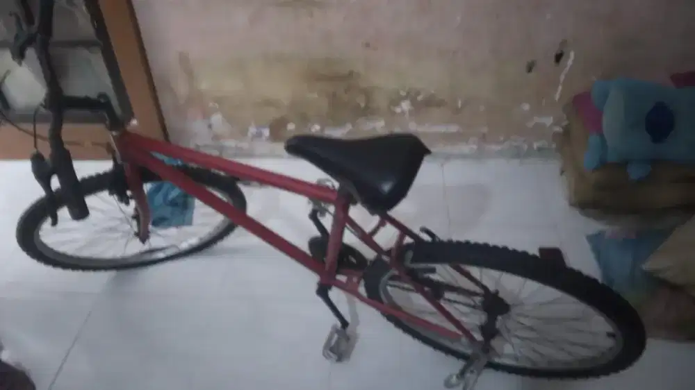 Dijual Sepeda Pemakai Sendiri