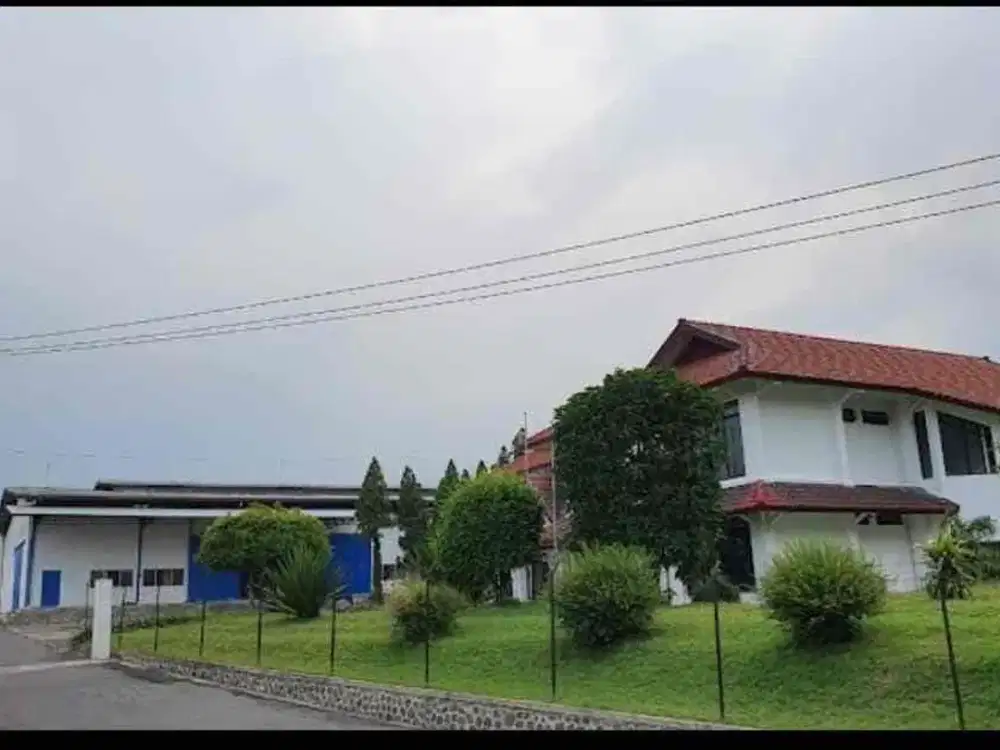 Pabrik kayu pandaan pasuruan kondisi gudang istimewa