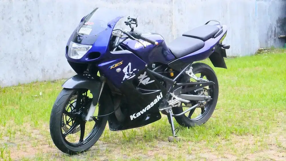 Ninja rr old 2010