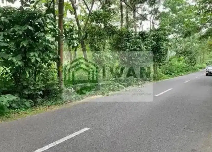 Tanah Iklim Sejuk Strategis Hadap Jalan Raya Kabupaten